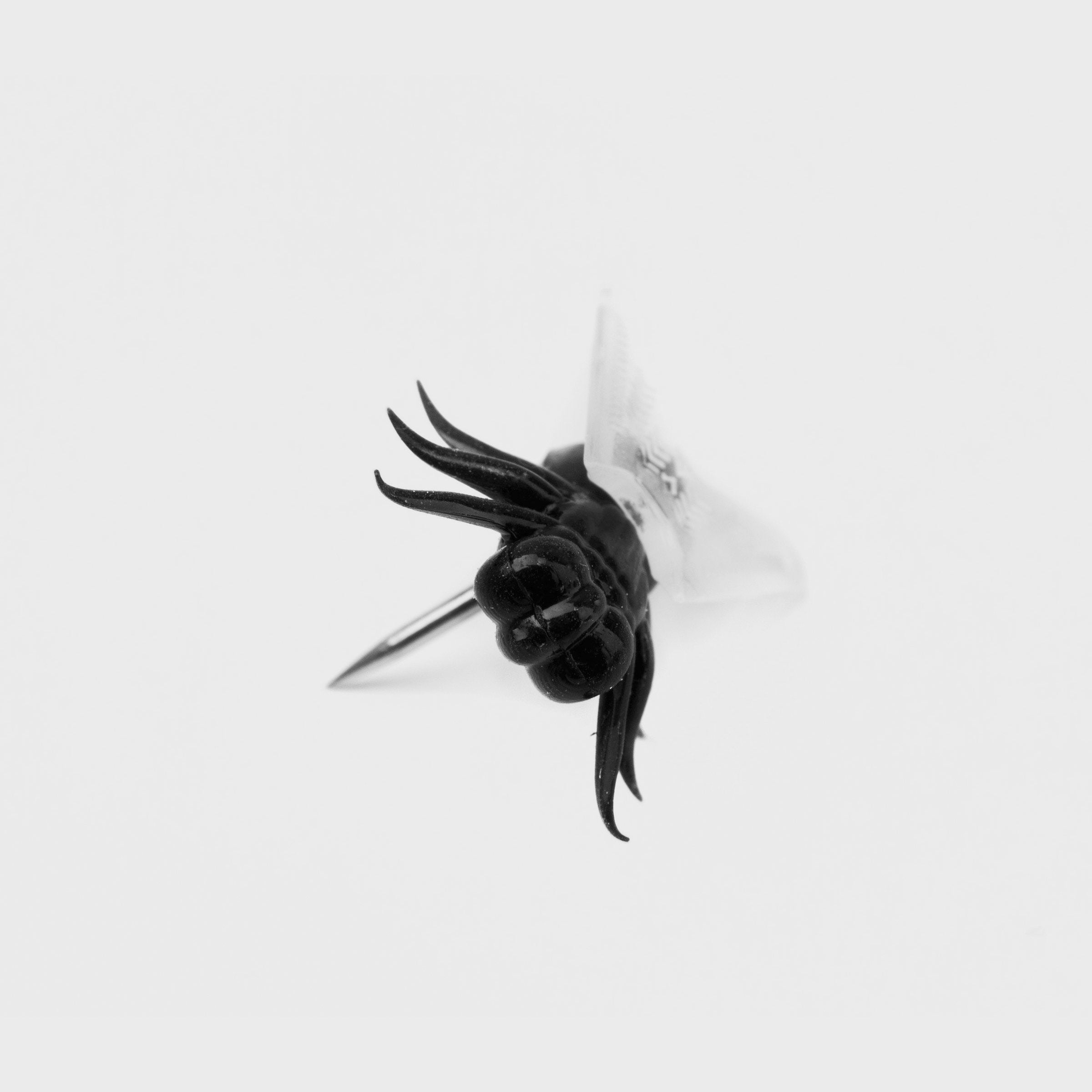 FLIEGEN Stecknadeln